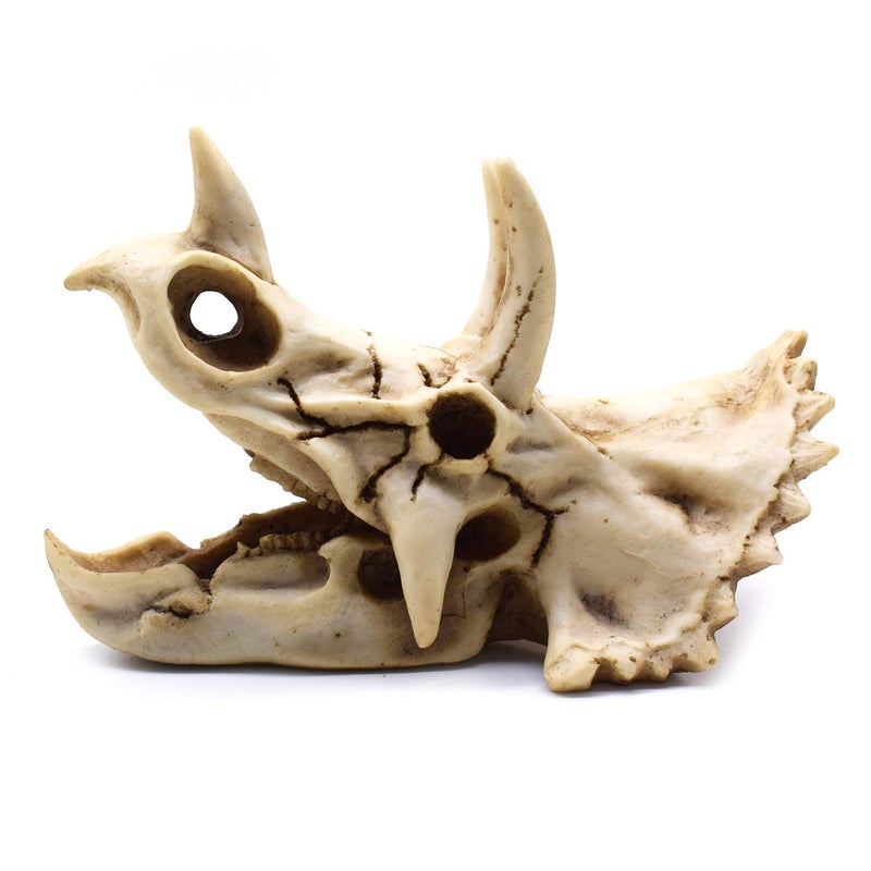 SHTWX Resin Dinosaur Skeleton Triceratops Imitation Skull Model Home Office Display Decorative Decoration 7x4.7x4 Inch - Image 4
